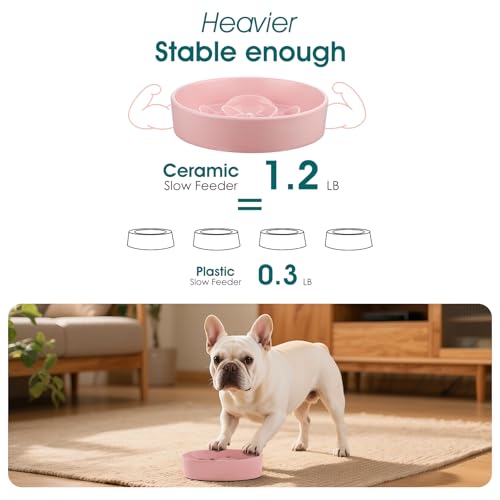 vancasso Ceramic Slow Feeder Dog Bowl, 0.6 Cup Puzzle Dish for Small Breeds - color: Pink, size: S - 0.6 Cups