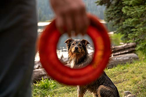 Ruffwear, Hydro Plane Flying Disc Dog Toy, Biolumin Blue, 12", Large