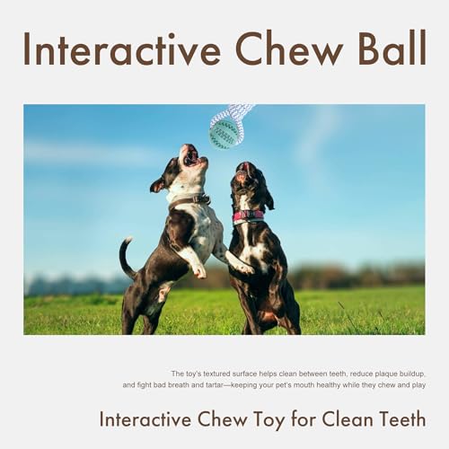 Mira's Pocket Indestructible Chew Toy for Aggressive Chewers - Durable Rubber Dog Teething Ball with Rope, Boredom Relief Puppy Toys (Blue, Small) (Green, Small) - color: Green, size: Small