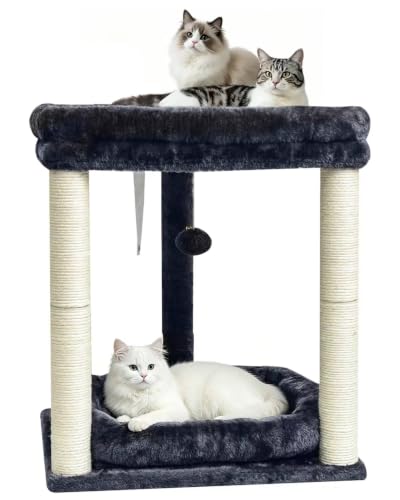 SYANDLVY Small Cat Tree for Indoor Cats with 2 Levels Perch Platforms - color: Smoky