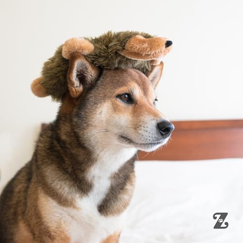 ZippyPaws Loopy No Stuffing Dog Toys to Keep Them Busy - 10" - color: Sheep, size: 10 x 8 x 1 in (Pack of 1)