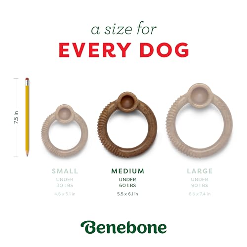 Benebone Ring Dog Chew Toy for Aggressive Chewers, Peppermint, Medium - size: Medium