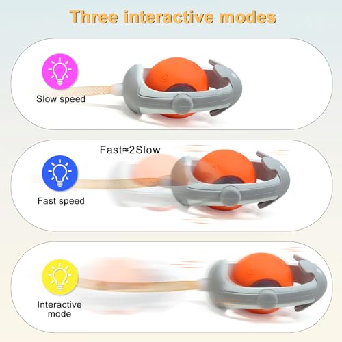 Interactive Cats Toys Ball, Newly IMAGINABLE Agile Mice Moving Ball, Mice&Bird Voice Attract, Elastic Mesh Tail, Automatic Kitten Toys, 2 Replacement Feather, for Bored Adult Indoor Cats