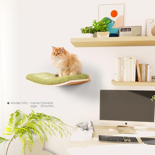 Curved Cat Shelves and Perches, Floating Cat Wall Bed with Comfortable Cushion - color: Wood Shelf+Green Cushion