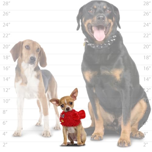 MIGHTY® 2 Pack Microfiber Small Blowfish Dog Toys - color: 2PK Red Blowfish