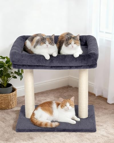 19" Small Cat Tree with Scratching Post for Indoor Cats with Perch - color: Dark Gray