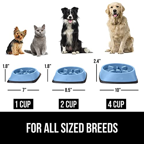 GORILLA GRIP® Patented Slow Feeder Dog and Cat Bowl, BPA Free, 1 Cup Blue - color: Light Blue, size: 1 Cup