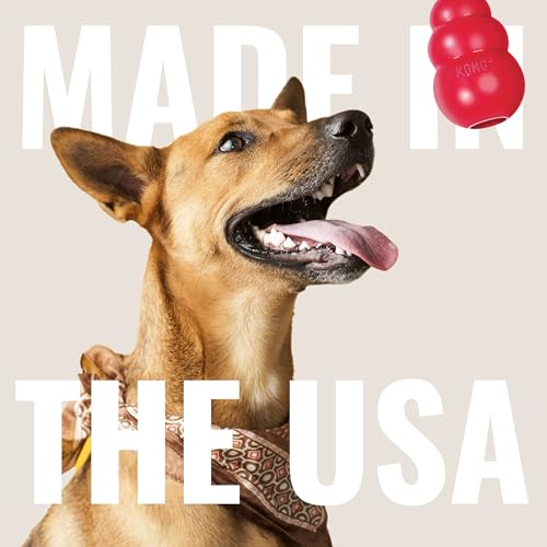 KONG Goodie Bone - Classic Durable Natural Rubber Dog Bone, Supports Mental Engagement - Treat Dispensing - Red - for Medium Dogs (Pack of 2) - size: Medium (Pack of 2)