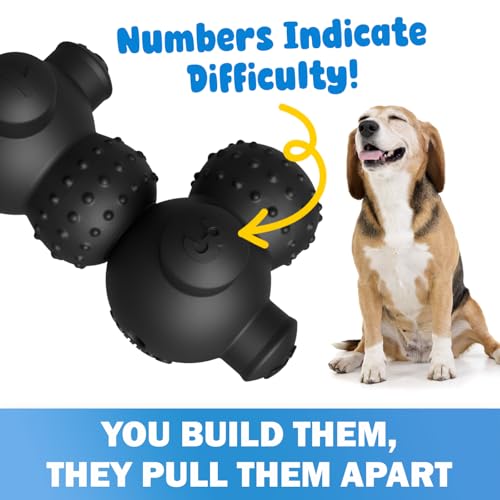 HOUNDGAMES Puppy Puzzle Toys Beginner