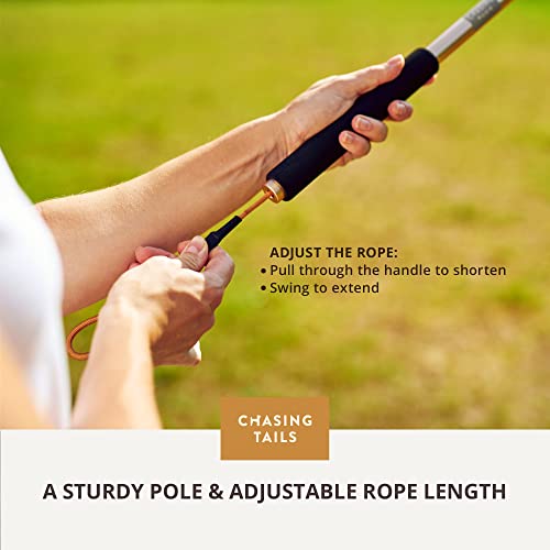 Chasing Tails Flirt Pole for Small Dogs - 26 Inch with 70 Inch Rope and Two Toys -Interactive Play Equipment for Small and Medium Breeds - Durable and Fun Exercise Tool for Active Pets - size: Pole - 26 Inch