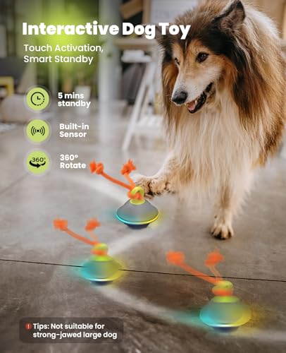 Xeuch Interactive Dog Ball with Rope, Motion Activated Moving Rolling Toy - color: Blue