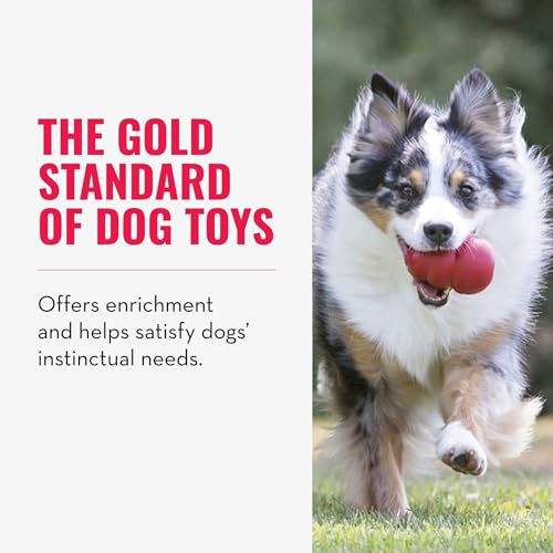 KONG Classic Stuffable Toy, Natural Rubber, Extra Large Dogs (Pack of 2) - size: X-Large(2-Pack)