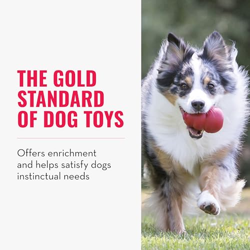 KONG Classic Stuffable Dog Toy, Natural Rubber, for Medium Dogs (Pack of 2) - size: Medium(2-Pack)