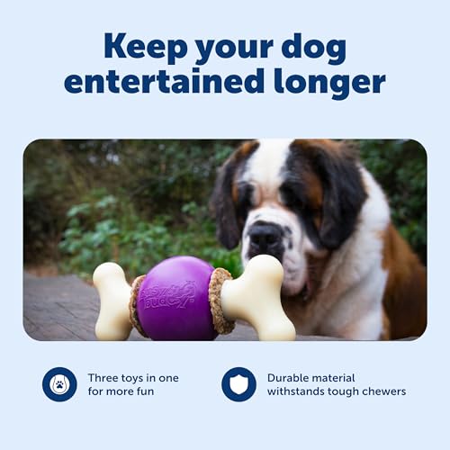 PetSafe Busy Buddy Bouncy Bone Treat Holding Dog Chew Toy, Large - size: Large, style: Bouncy Bone