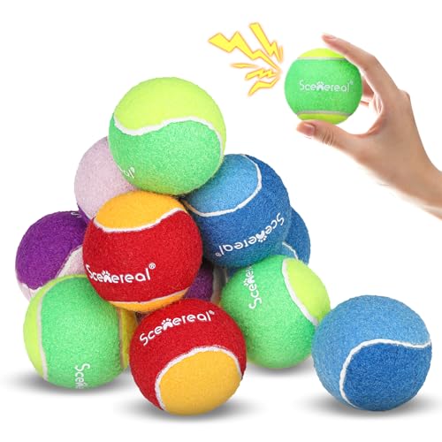 SCENEREAL Squeaky Tennis Balls for Dogs, 2.5" 12 Pack Puppy Fetch Balls Toys as Gifts for Holiday Halloween Thanksgiving Christmas, Interactive Dog Toys for Small Medium Sized Dogs Throwing Training