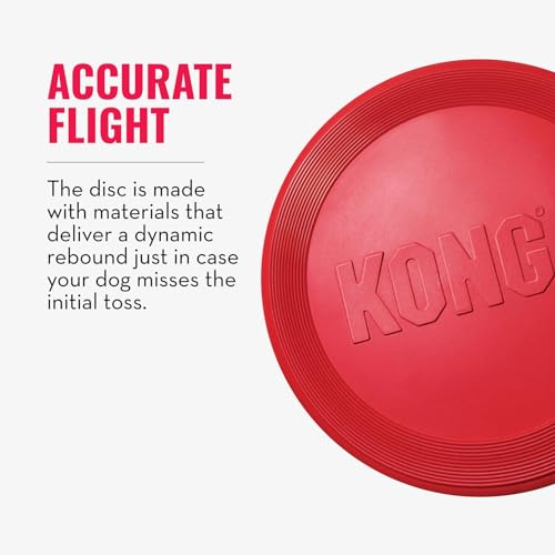KONG Flyer - Durable Dog Toy for Outdoor Playtime - Natural Rubber Flying Disc, Dog Toy for Fetch - Safer Disc for Healthy Activity - for Small Dogs (Pack of 3) - size: Small (Pack of 3)