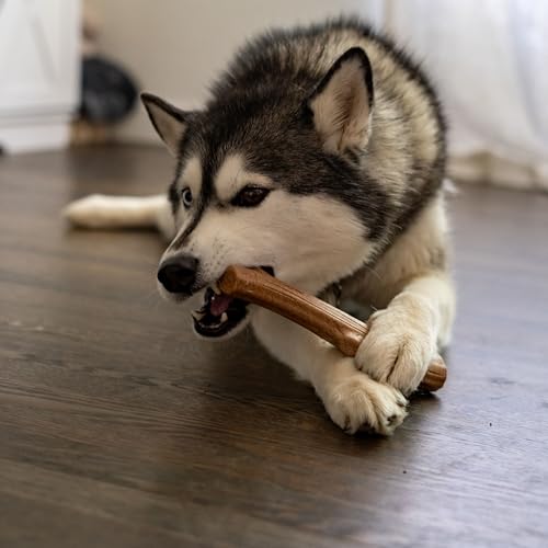 Pupstages Super Dogwood Stick Dog Chew Toy, Made in USA, Medium, 9.5" - size: Medium (Pack of 1)