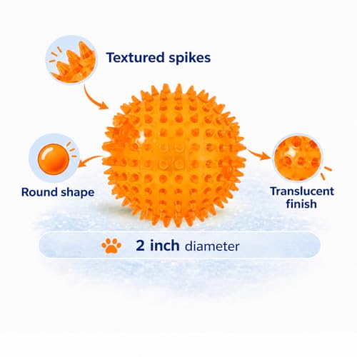 Squeaky Spiky Dog Ball for Teeth Cleaning & Gum Massage 2 Inch Puppy Small Dogs Orange | Spiny TPR Rubber Chew Toy for Fetch Play Interactive Bouncy Dental Ball Durable BPA Free Nontoxic Floats - size: 2 Inch Orange Ball 1-Pack