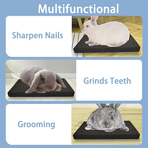 BNOSDM Rabbit Grinding Claw Pads Bunny Scratch Foot Pad Natural - color: Black 1x Large