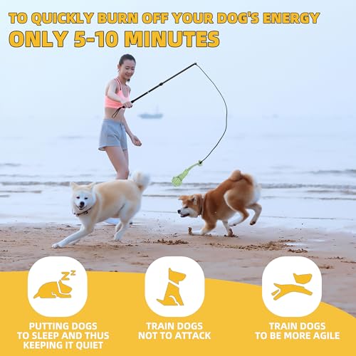 Flirt Pole Dogs, Dog Chase Toy with Squeakers Inside, Dog Fishing Pole Toy for Large Medium Small Dogs to Keep the Puppy Entertained and Physically Exhausted, Rope+Ball - style: Rope+Ball
