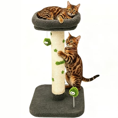 TinyBeast 29.5" Cat Tower with Scratching Post, 4-in-1 Natural Sisal Cat Scratcher with Removable Plush Perch Bed, Cat Stand Featuring Dangling Ball & Spring Ball, Cat Tree Tower for Indoor Adult Cats
