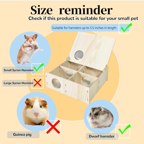 Multi-Chamber Wooden Hamster Hideout & Tunnel with Secret Peep Shed - color: 4-Chamber Hamster Maze