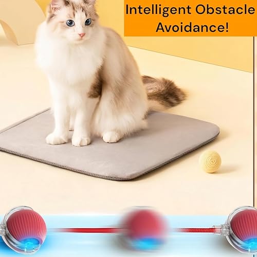 Interactive Electric Automatic Rolling Moving Rechargeable Self Play Stimulation Toy,Smart Pet Chase with Speedy Tail Rope for Bored Indoor Cats (Blue) - color: BLUE