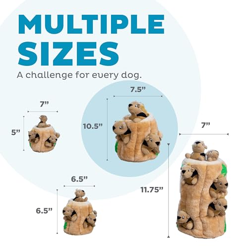 Outward Hound Hide-A-Squirrel Plush Squeaky Dog Toy, Large, 10.5" x 7.5"
