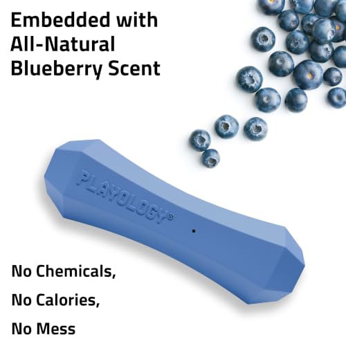 Playology Squeaky Chew Stick - Scented Dog Toy - Jumbo, Blueberry Scent - size: Jumbo, style: Blueberry