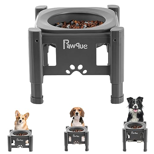 Pawque 35oz Elevated Slow Feeder Dog Food Bowls with Adjustable Stand - color: Grey