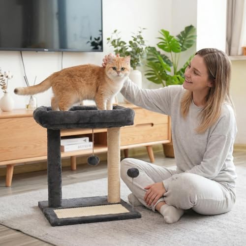 Cat Scratching Post, 19.69" H(50cm) Cat Tree with Cat Bed, Scratching Posts for Indoor Cats with Two Plush Balls Toy, Small Cat Tree for Kittens/Cats Playing and Relaxing (20 in Grey Cat Tree) - size: 20 in