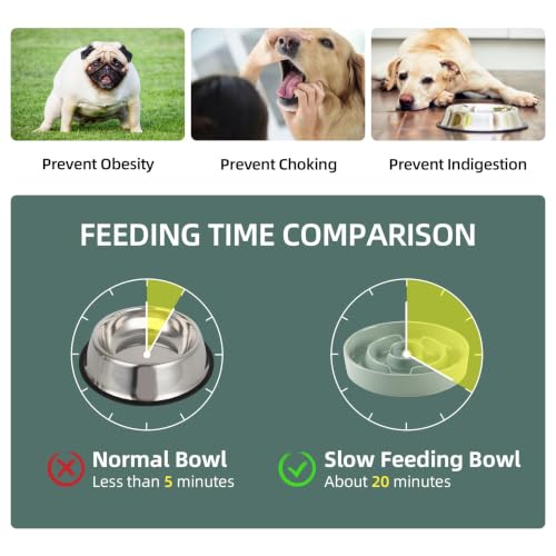 Havniva Ceramic Slow Feeder Dog Bowls, 8.3 in Slow Feeder for Medium Breed - color: Light Green