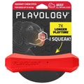 Playology Squeaky Chew Stick - Scented Dog Toy - Medium, Beef Scent - size: Medium, style: Beef