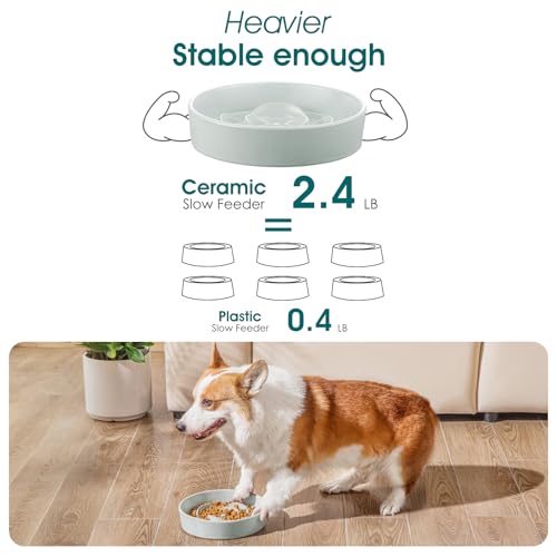 vancasso Slow Feeder Dog Bowl, 1.5 Cup Ceramic Puzzle Dish for Medium Breed - color: Grayish Cyan, size: M - 1.5 Cups