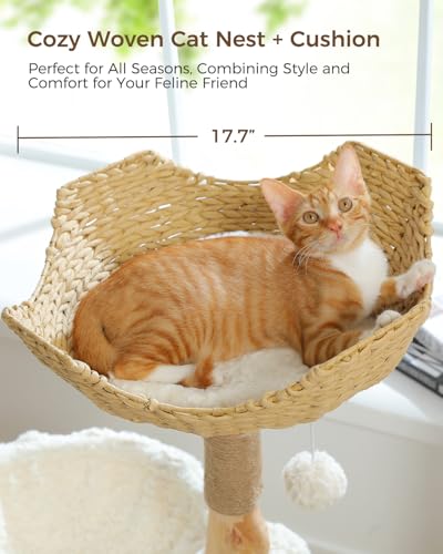 MUTTROS Modern Cat Tree for Large Cats, Wood Cat Tower for Indoor Cats, Real Branch Luxury Cat Furniture with Super Large Cozy Condo and Hammock & Scratching Post, Top Basket, White - color: Cloud White, size: 40"