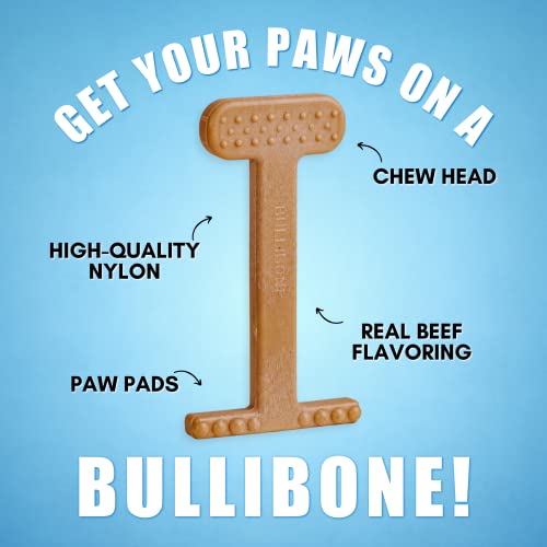 Bullibone Nylon Dog Chew Toy for Aggressive Chewers - Dental Hygiene Bone with Beef Flavor, Durable Tough Chew Toys for Large Dogs, Indestructible Dog Bone - 3 Pack - size: Large - 3 Pack