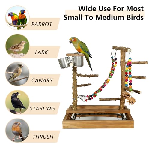Natural Wood Bird Perch Stand Parrot Playground Play Gym - color: Brown