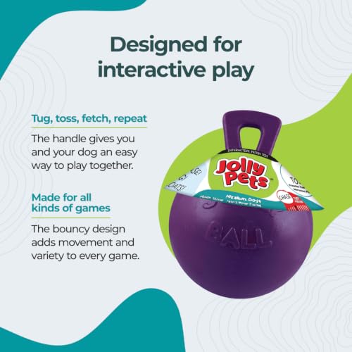 Jolly Pets Tug-n-Toss Heavy Duty Dog Toy Ball with Handle, 8 Inches/Large, Purple - color: Purple, size: Large (8 in)