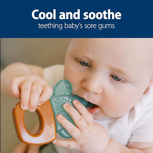 Dr. Brown's AquaCool Water-Filled Teether, House Plants, 3m+, 2-Pack
