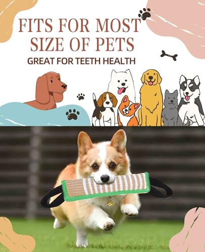 Clysoru Squeaky Tug Toy for Dogs Jute with 2 Strong Handles Lasting Training Equipment Puppy to Large Dog Interactive Toys of War Pull Indestructible Rope Pet Crinkle Teething - color: green