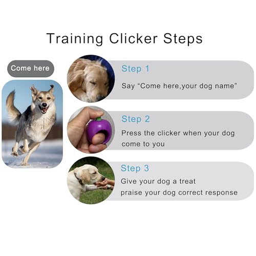 Pet Clicker for Dogs/Cats/Horses/Birds or Other Animals - Clickers for Training (Green) - style: Green