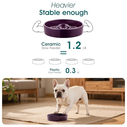 vancasso Slow Feeder Dog Bowl, 0.6 Cups Ceramic Small Puzzle Dog Food Dish - color: Dark Purple, size: S - 0.6 Cups
