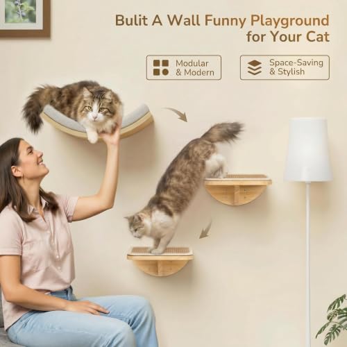 Cat Window Perches, Cat Wall Shelves with Curved Bed and 2 Sisal Mat Steps - color: Combo A (1 Foam-Mat Bed, 2 Steps)