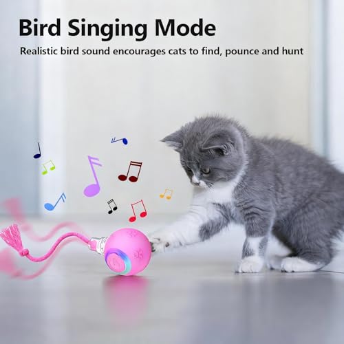 Speed 2.0 Tail Interactive Cat Toys, Rechargeable Ball for Indoor Cats - color: Pink