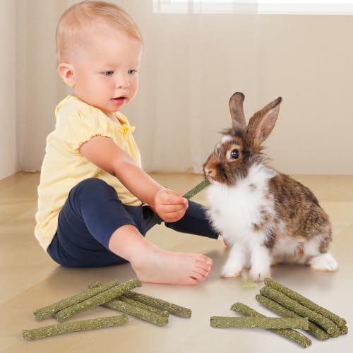 52Pcs Rabbit Chew Sticks, Guinea Pig Toys, Natural Timothy Hay Teeth Stick - size: 52P-Green-Set