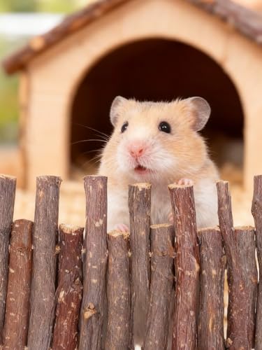 2 Pcs 11.8in Wooden Hamster Fence - size: 11.8in (Natural)