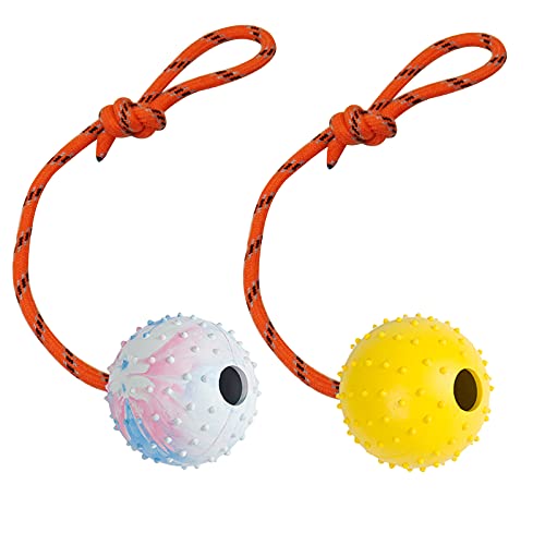 2 Pack Dog Ball, K9 Ball on Rope for Reward, Fetch, Play (7cm) - size: 2.75 in (Bright Color)