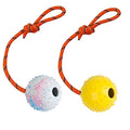 2 Pack Dog Ball, K9 Ball on Rope for Reward, Fetch, Play (6cm) - size: 2.36 in (Bright Color)