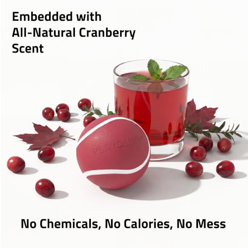 Playology Squeaky Chew Ball Dog Toy - Medium, Cranberry Scent - size: Medium, style: Cranberry