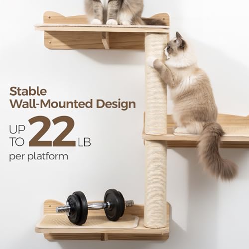 Cat Wall Shelves, 2-Tier Cat Shelves with Sisal Scratching Post, Sisal Mat Solid Pine Wood Wall Mounted Cat Climbing Furniture, Modular Design - size: 2-Tier